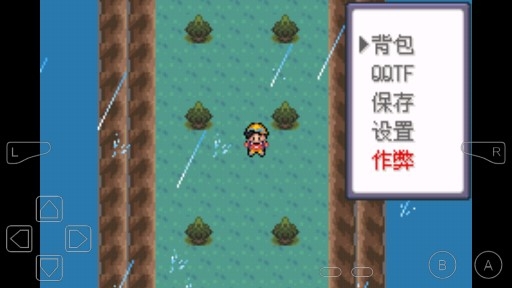 口袋妖怪暗黑之神金手指版 口袋妖怪暗黑之神金手指版