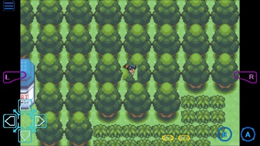 口袋妖怪极光石2.5a金手指版 口袋妖怪极光石2.5a金手指版