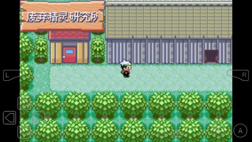 口袋妖怪狂龙之战金手指版 口袋妖怪狂龙之战金手指版