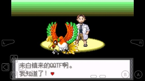 口袋妖怪龙之狂金手指版 口袋妖怪龙之狂金手指版