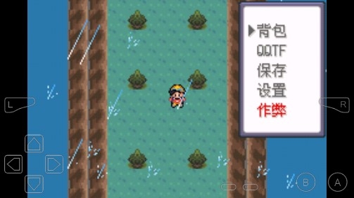 口袋妖怪龙之狂金手指版 口袋妖怪龙之狂金手指版