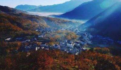 同城快帮app官方版