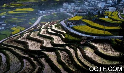 同城快帮app官方版