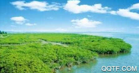 和谐辛店手机客户端 和谐辛店手机客户端