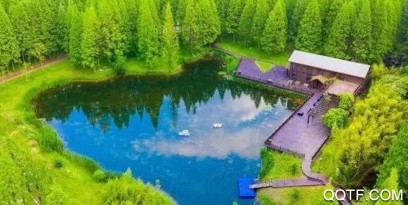 响水网响水论坛app最新版 响水网响水论坛app最新版