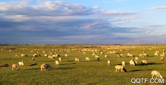 四季乌珠穆沁app最新版