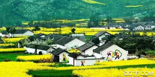 四川乡村客户端