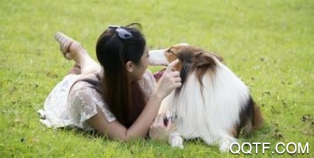 团纸日记app手机版