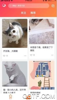 团纸日记app手机版