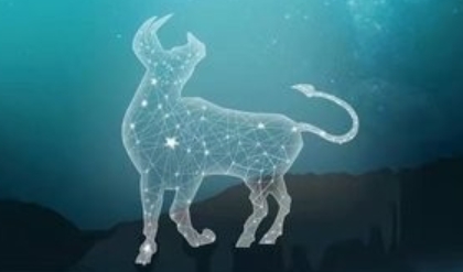 国富易星app下载