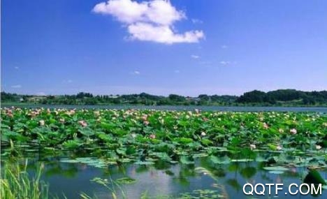 在运城app官方版