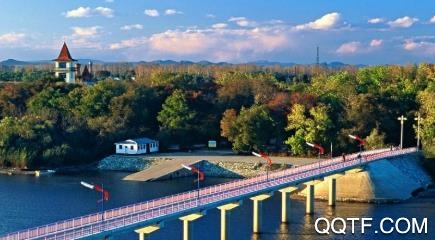 在鹤岗app最新版