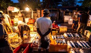 地摊人app官方版 地摊人app官方版