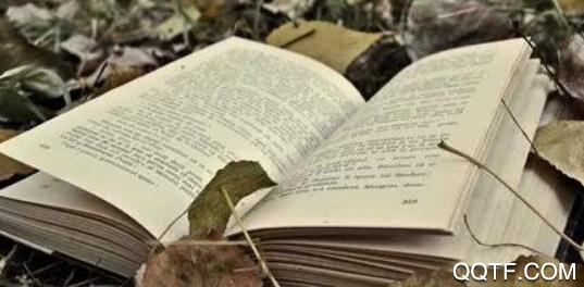 墨鱼小说App最新版 墨鱼小说App最新版