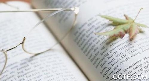 多多小说搜索阅读器手机版 多多小说搜索阅读器手机版