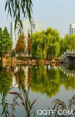 大临沂app官方版