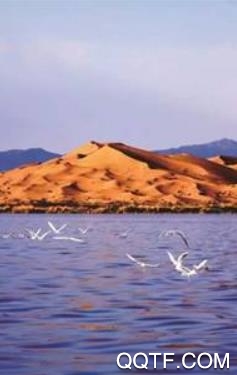 大美巴州手机客户端