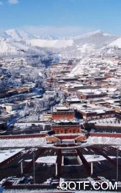 大美湟中app官方版