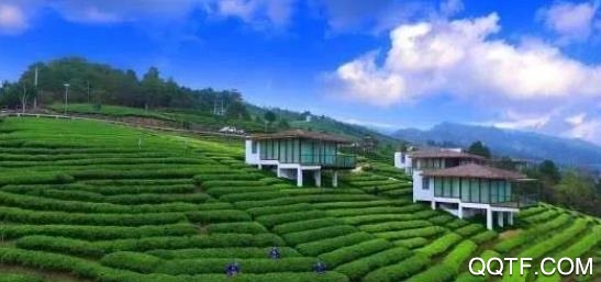 大美独山手机客户端 大美独山手机客户端