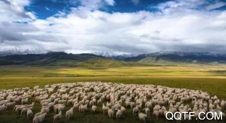 大美祁连app安卓版 大美祁连app安卓版