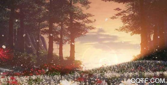 天刀助手app自动押镖脚本