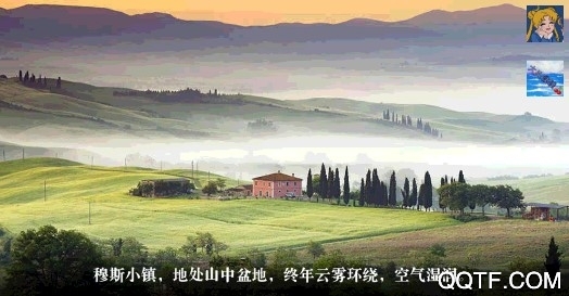 失心疯橙光制霸版