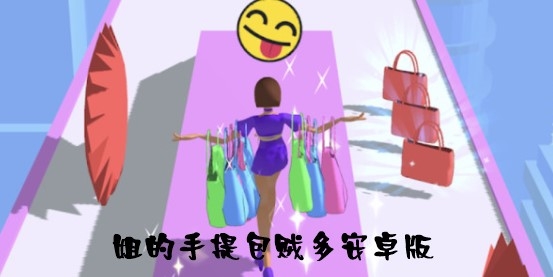 姐的手提包贼多安卓版 姐的手提包贼多安卓版