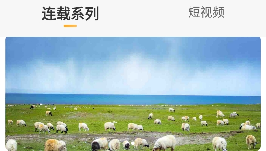 婆娑世界app安卓版