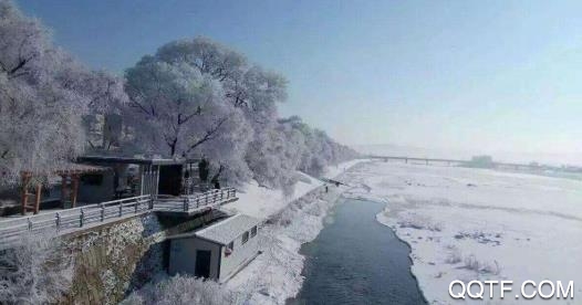 宁古塔融媒app安卓版