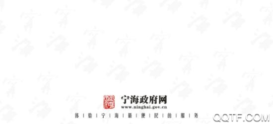 宁海政府网App官方版