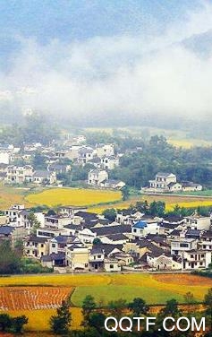 安徽浪浪app安卓版