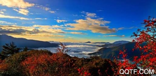 宝兴融媒app苹果版