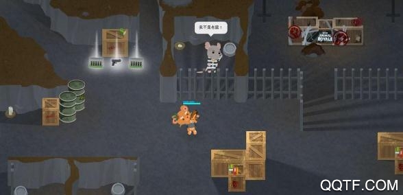 小动物之星手机版