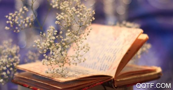 小心窝app安卓版