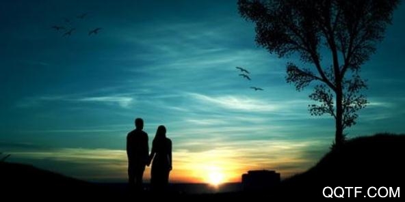 小心窝app安卓版