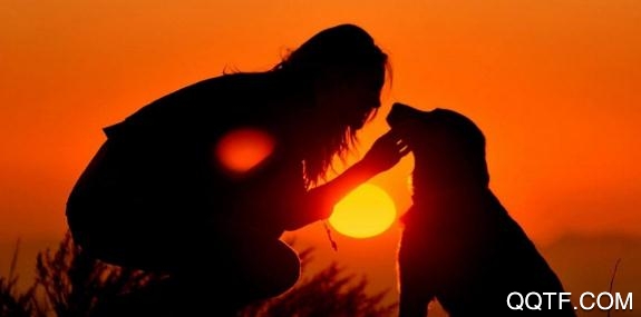 小心窝app安卓版