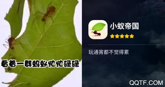 小蚁帝国中文版