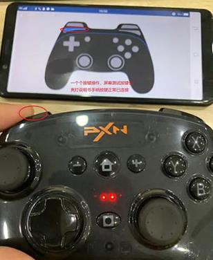 小鸡模拟器极速版最新版