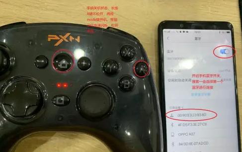 小鸡模拟器极速版最新版