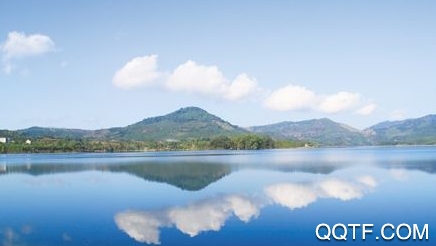 屯昌发布app最新版