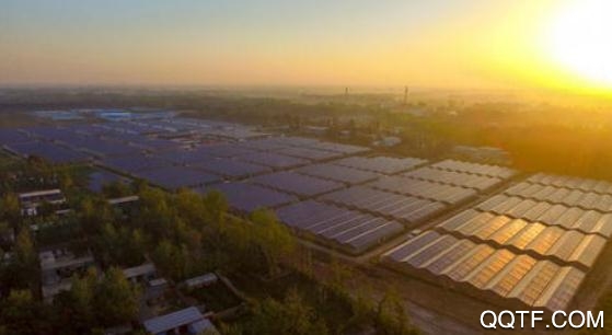 山东莘县智慧人社app官方版