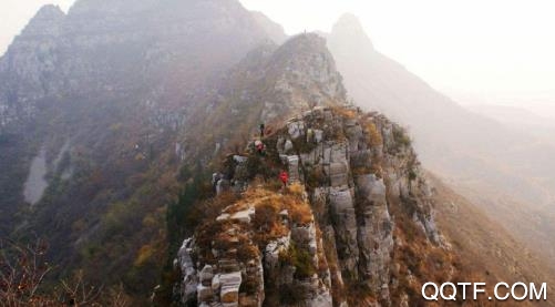 岱岳融媒客户端