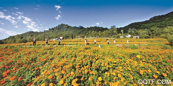 巴州在线客户端 巴州在线客户端