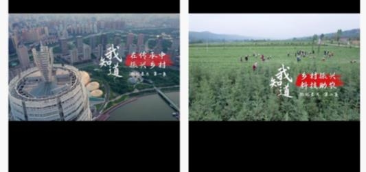 平安普惠app安卓版