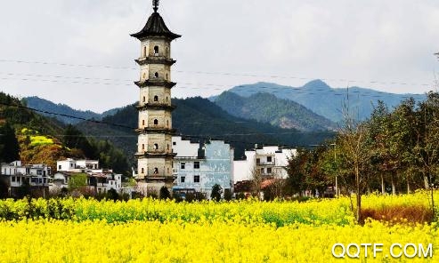 平安江西志愿者app官方版本 平安江西志愿者app官方版本