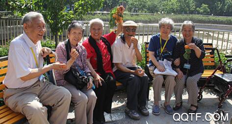 康荣老人家app官方版