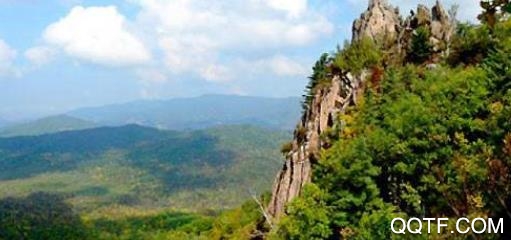 延寿融媒手机客户端