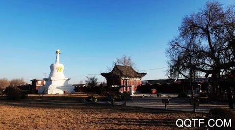 开鲁信息港app官方版