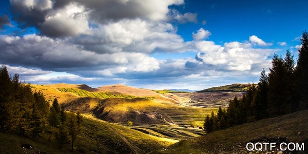 张家口圈官方版 张家口圈官方版