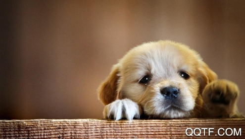 彩霞壁纸手机壁纸app最新版